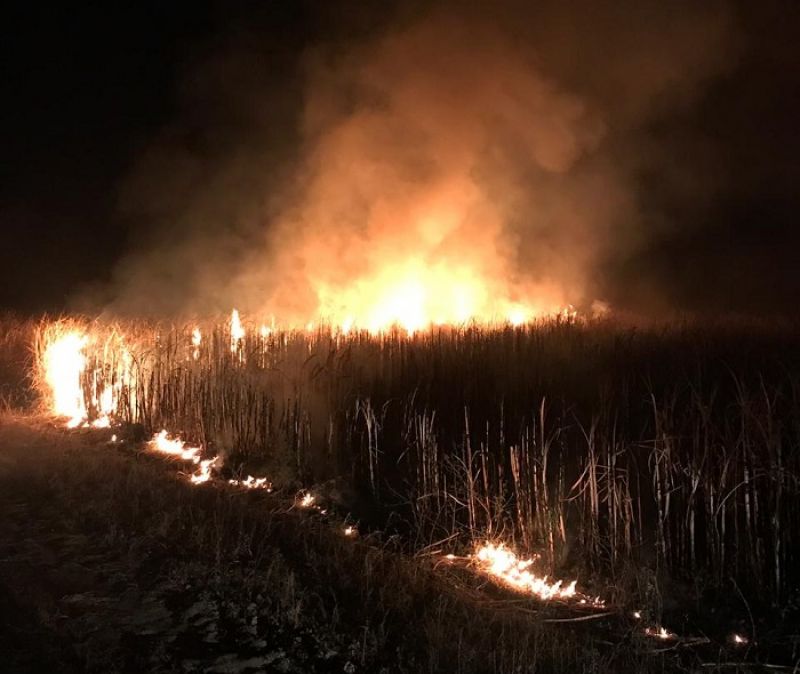 Maquinarias, montes y caÃ±averales arrasados por el fuego en Cascada