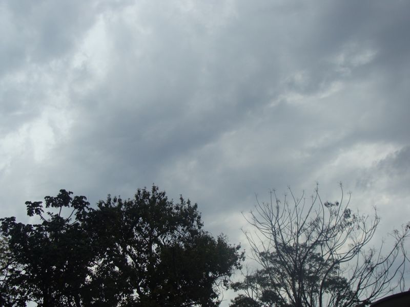 Jueves con lluvias y tormentas elÃ©ctricas, anuncia MeteorologÃ­a