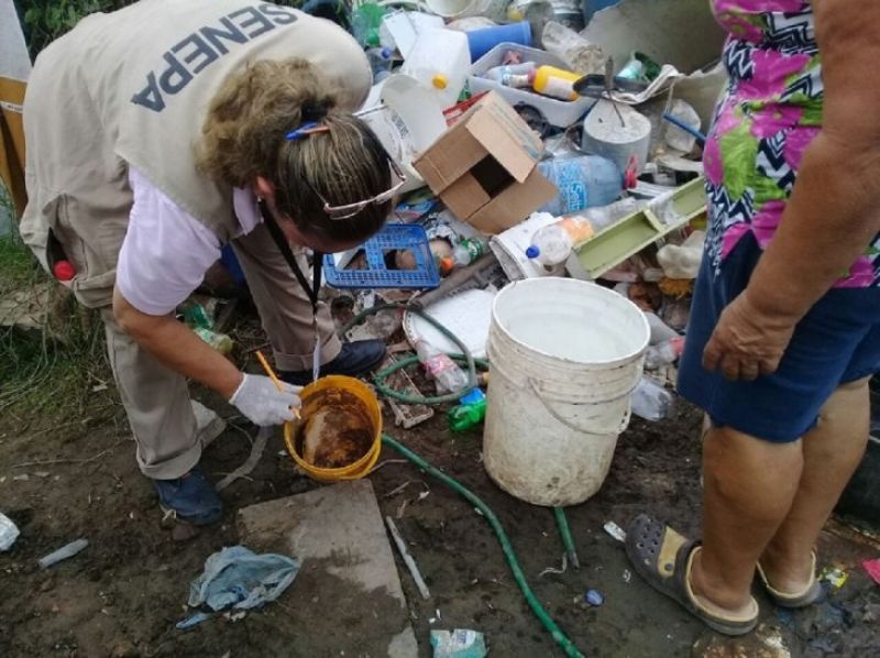 Salud aumenta a 20 las muertes por dengue desde inicio de la epidemia