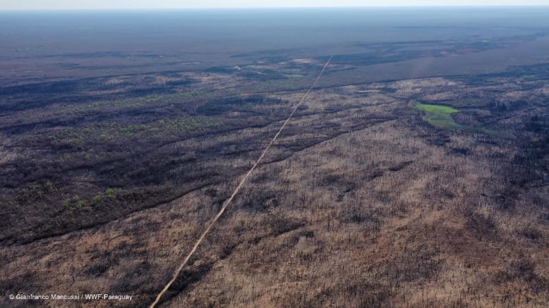 Lluvias pusieron fin a los incendios