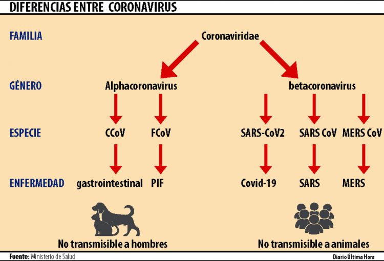 Covid-19: Instan a evitar contacto con mascotas