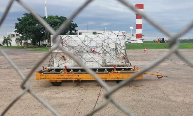 Arribó a Paraguay lote importante de vacunas contra la influenza