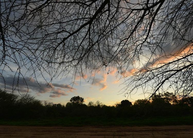 Inicia el otoño y con él llegan las noches más largas