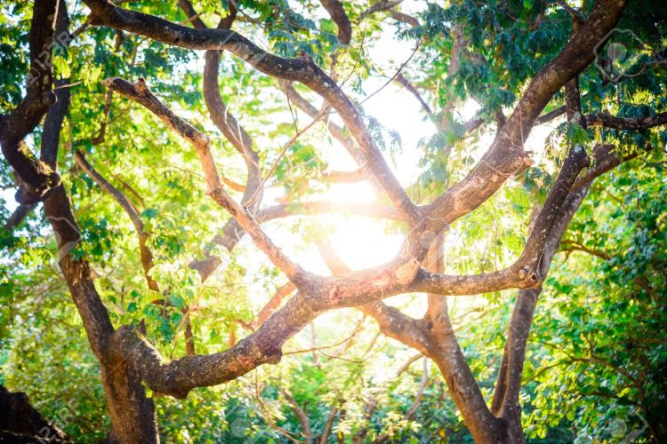 Jueves soleado con progresivo aumento de la temperatura