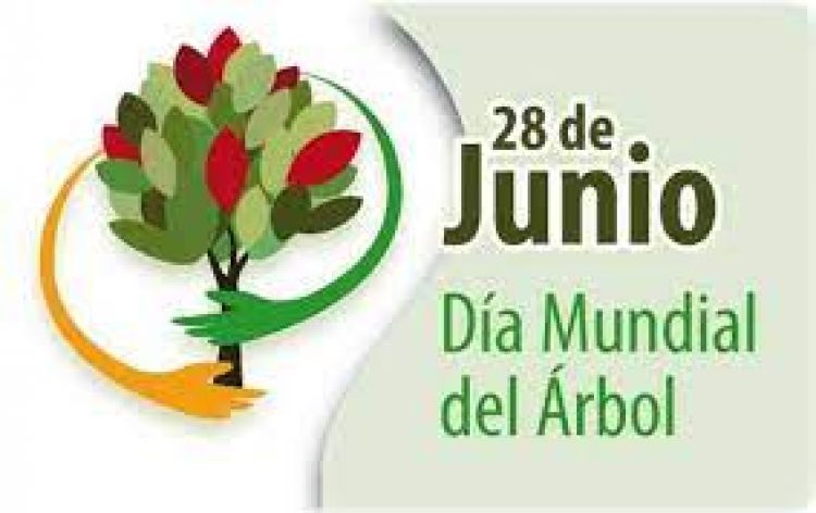 28 de junio: Día Mundial del Árbol