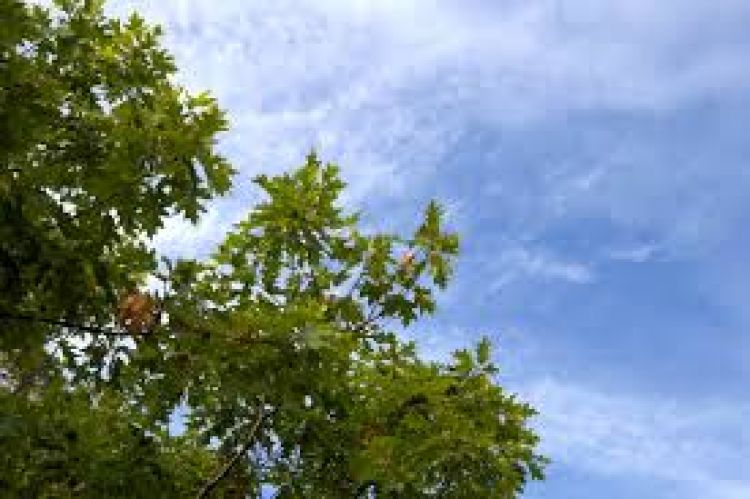 Tres días de lluvias, anuncia Meteorología en gran parte del país