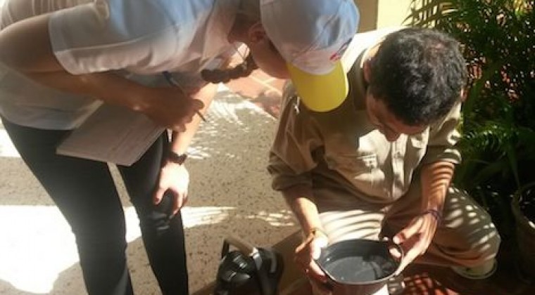  Chikunguña: no a la horchata o aspirina, sí a la buena hidratación