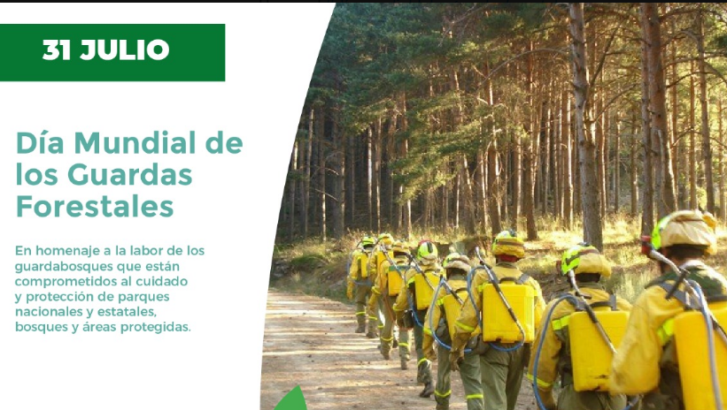 31 de julio. Día Mundial de los Guardas Forestales o Guardabosques