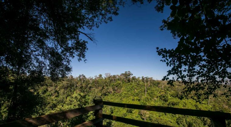  Cacería: el “baqueano” volvió baleado y dos hermanos están desaparecidos