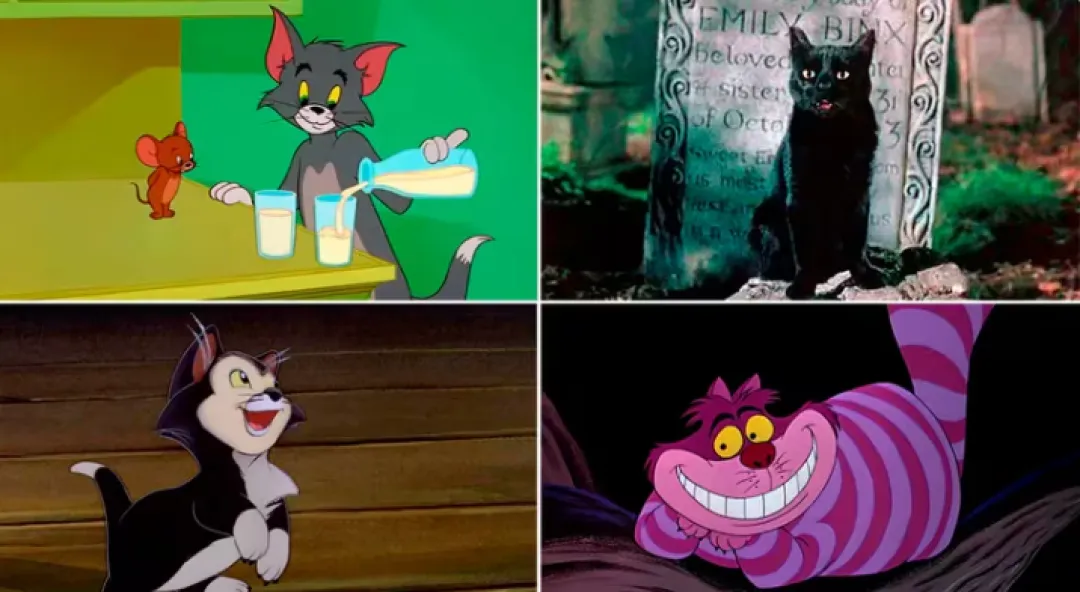 Cuáles son los gatos más famosos del cine y la televisión