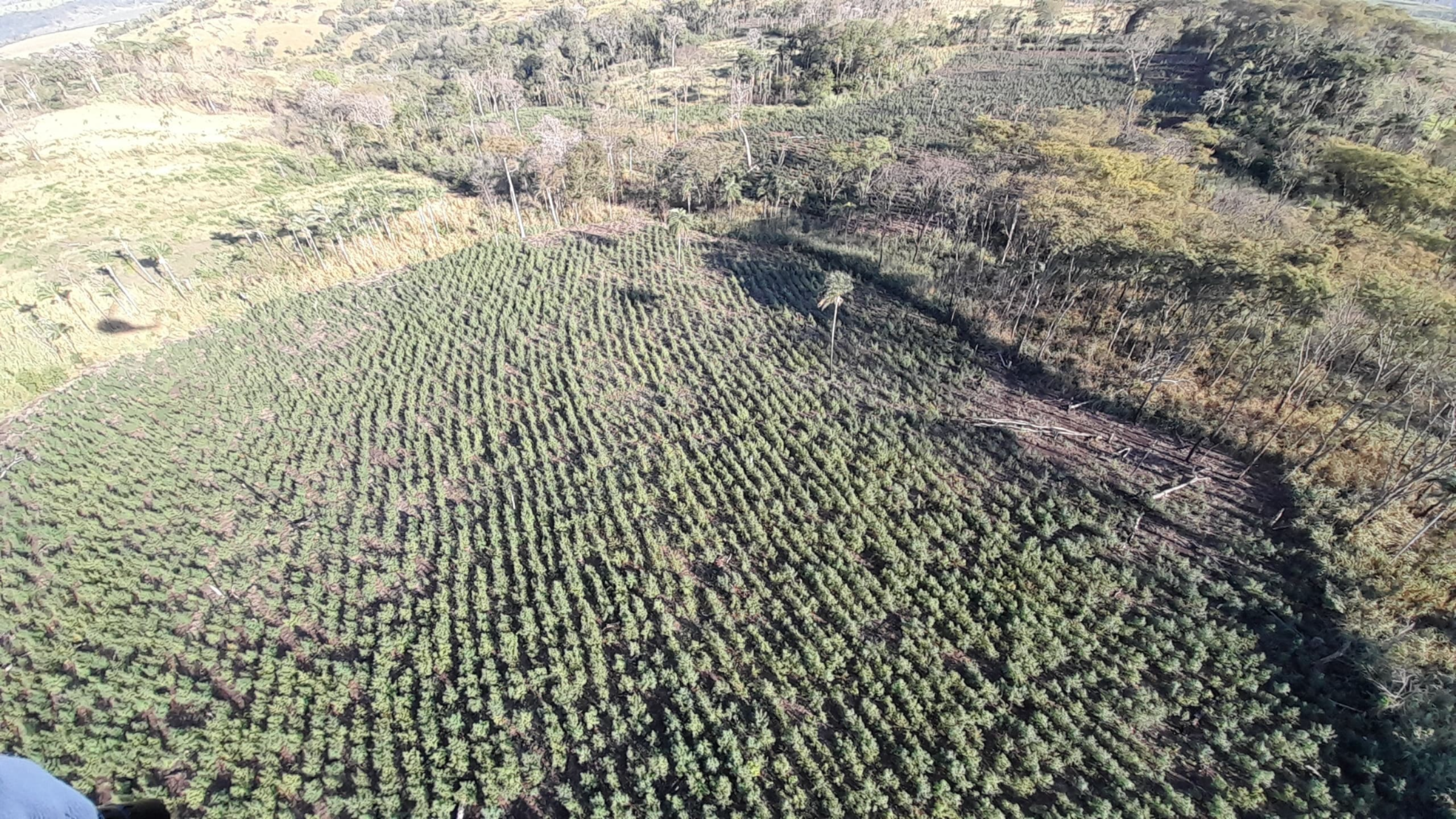 Paraguay y Brasil inician tercera operación conjunta del año contra el narcotráfico