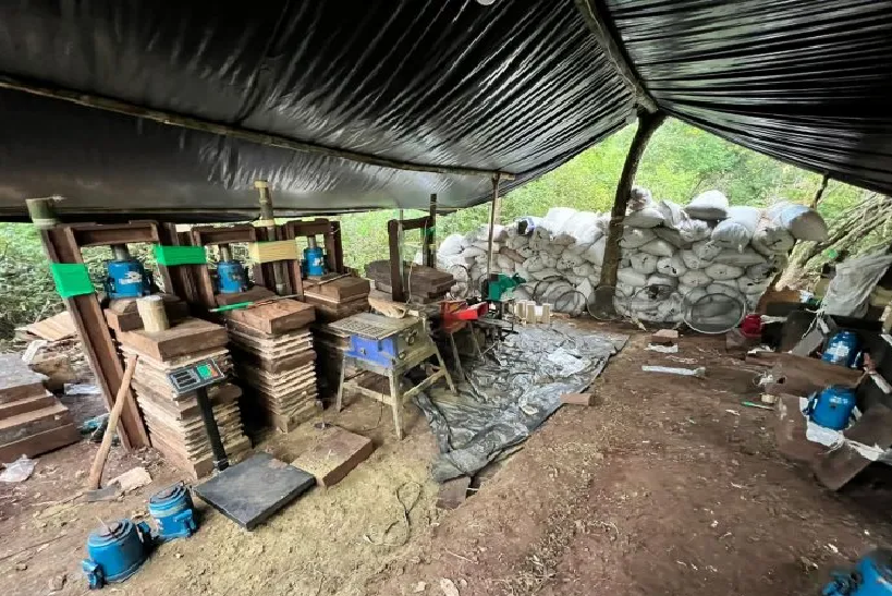 Senad halla casi 9 toneladas de marihuana en Amambay