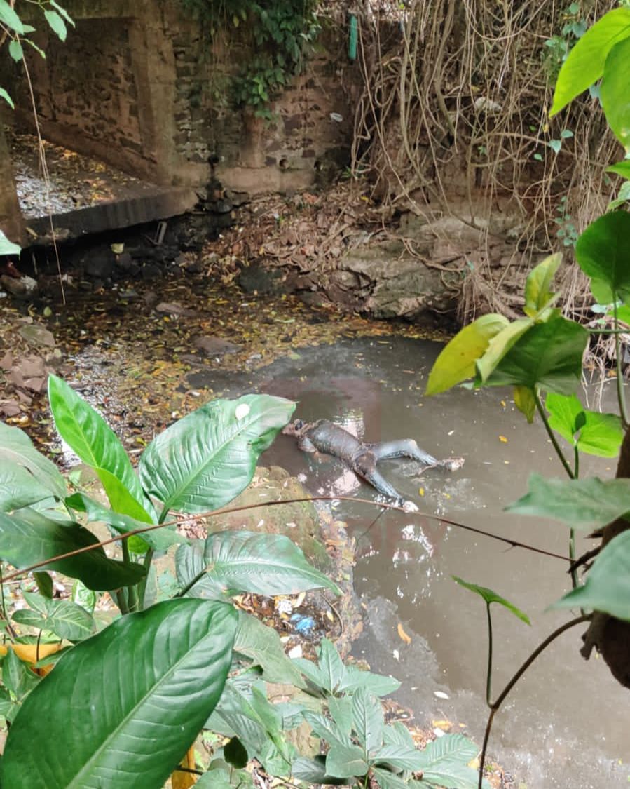 Médico forense descarta que la víctima encontrada en el Arroyo Leite'i recibio disparos