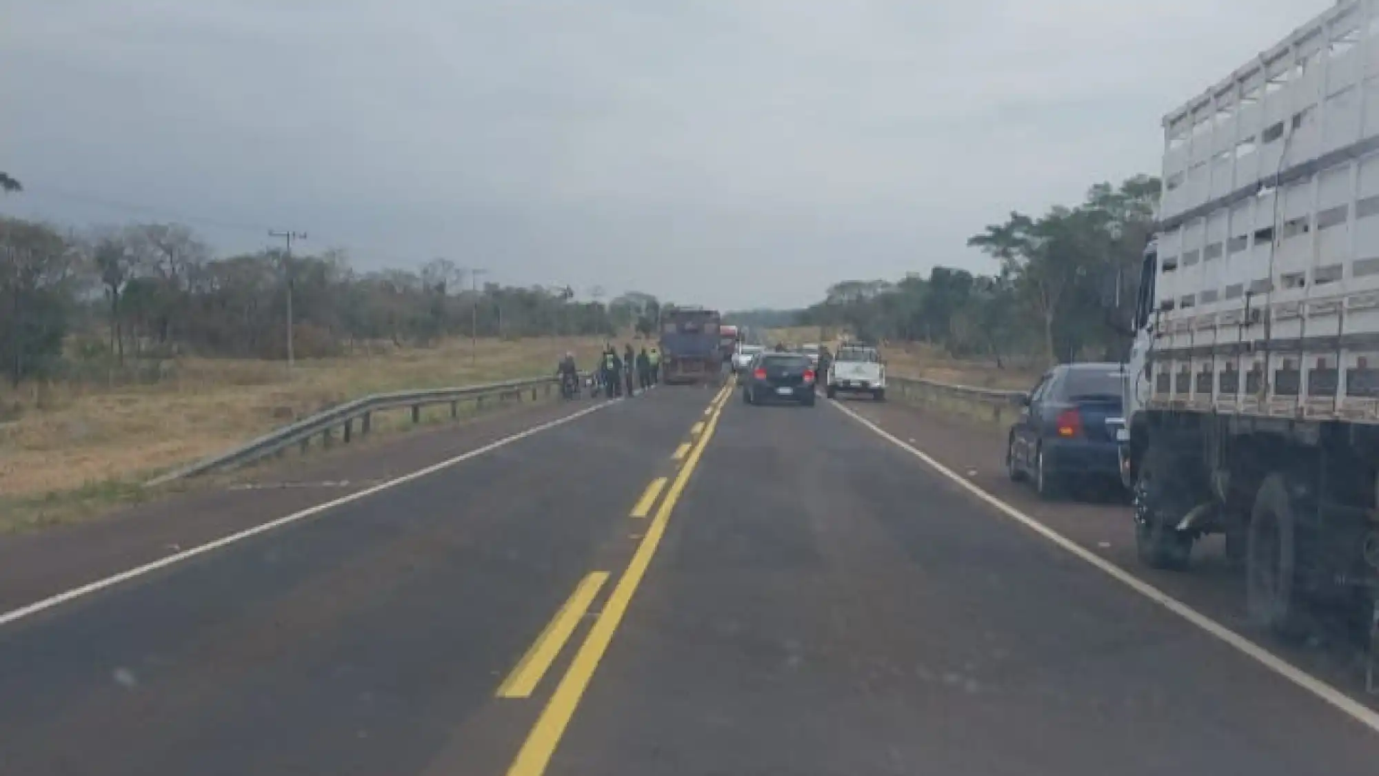 Motociclista muere al chocar de frente contra un camión transportador de animales