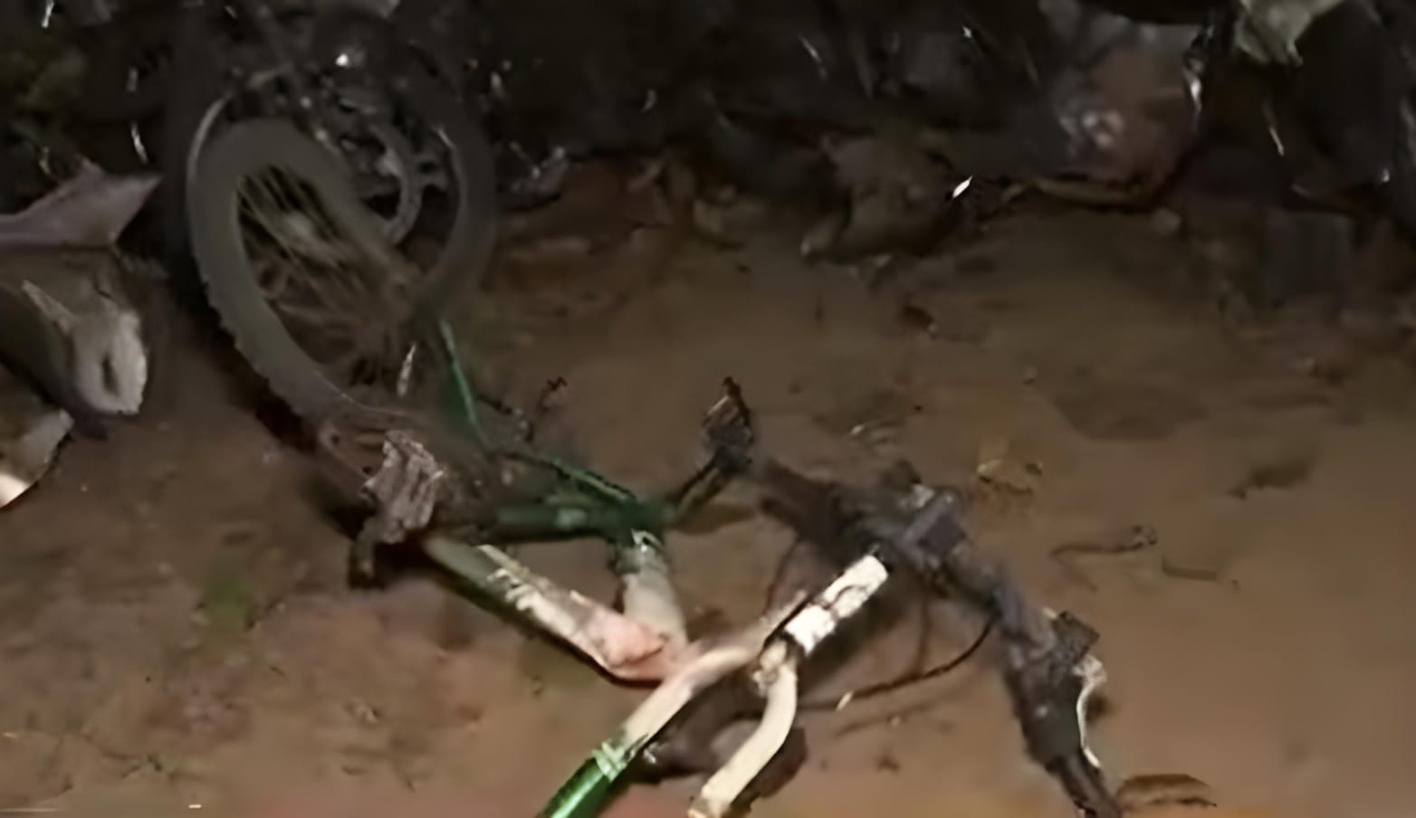 Ciclista murió arrollado por un auto en plena ruta PY02